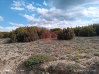 Burdur Çavdır Kayacık Köyü Milli Emlak'tan Satılık 1.014,58 m2 Tarla