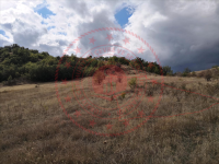 Çorum Laçin İkizce Köyü Milli Emlak'tan Satılık 853,56 m2 Tarla