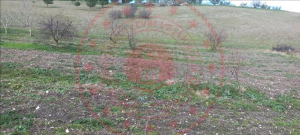 Balıkesir Susurluk Muradiye Köyü Milli Emlak'tan Satılık 511,00 m2 Tarla