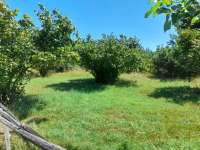 Düzce Merkez Doğanlı Köyü Milli Emlak'tan Satılık 1.142,14 m2 Arsa