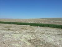 Niğde Merkez Çavdarlı - Bağlar Mahallesi Milli Emlak'tan Satılık 138.176,63 m2 Tarla