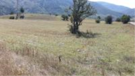 Karabük Eskipazar Sadeyaka Köyü Milli Emlak'tan Satılık 5.872,87 m2 Tarla