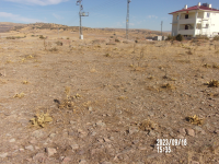 Ankara Beypazarı Adaören Köyü Milli Emlak'tan Satılık 623,29 m2 Tarla