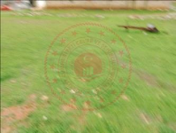 Afyonkarahisar Başmakçı Ovacık Köyü Milli Emlak'tan Satılık 485,98 m2 Tarla