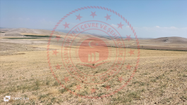 Karaman Merkez Kameni Milli Emlak'tan Satılık 58.797,93 m2 Tarla