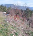 Karabük Merkez Acıöz Köyü Milli Emlak'tan Satılık 1.012,93 m2 Tarla