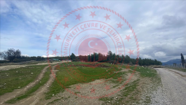 Denizli Acıpayam Bedirbey Köyü Milli Emlak'tan Satılık 4.066,00 m2 Tarla