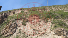 Tokat Zile Ağılcık Köyü Milli Emlak'tan Satılık 2.003,40 m2 Tarla