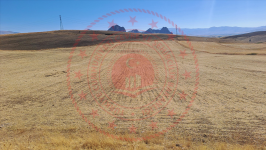 Erzincan Tercan Aktaş Köyü Milli Emlak'tan Satılık 8.232,43 m2 Tarla