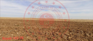 Konya Sarayönü Boyalı Köyü Milli Emlak'tan Satılık 16.617,00 m2 Tarla