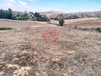 Afyonkarahisar Sandıklı Celiloğlu Köyü Milli Emlak'tan Satılık 1.321,00 m2 Tarla