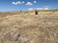 Kayseri Kocasinan Höbek Mahallesi Milli Emlak'tan Satılık 1.212,21 m2 Tarla