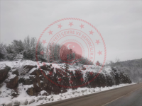 Karabük Safranbolu Örencik Köyü Milli Emlak'tan Satılık 3.990,25 m2 Tarla