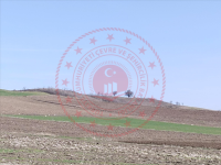 Çorum Merkez Tarhan Köyü Milli Emlak'tan Satılık 1.601,90 m2 Tarla