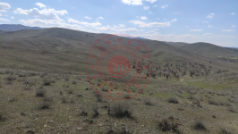 Malatya Battalgazi Karatepe Mahallesi Milli Emlak'tan Satılık 110.061,30 m2 Tarla