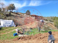 Afyonkarahisar Başmakçı Çığrı Köyü Milli Emlak'tan Satılık 778,46 m2 Tarla