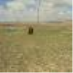 Kayseri Kocasinan Yuvalı Mahallesi Milli Emlak'tan Satılık 688,33 m2 Tarla