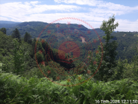 Düzce Kaynaşlı Tavak Köyü Milli Emlak'tan Satılık 13.453,64 m2 Tarla