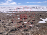 Malatya Hekimhan Yukarı Selimli Köyü Milli Emlak'tan Satılık 15.017,00 m2 Tarla