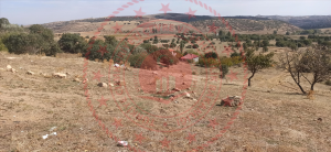 Kırıkkale Balışeyh Kenanobası Köyü Milli Emlak'tan Satılık 4.616,41 m2 Tarla