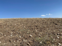 Kayseri Kocasinan Höbek Mahallesi Milli Emlak'tan Satılık 5.249,58 m2 Tarla