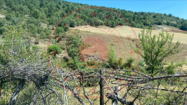 Kastamonu Taşköprü Kaygunca Köyü Milli Emlak'tan Satılık 1.914,50 m2 Tarla
