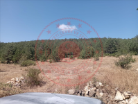 Kastamonu Taşköprü Hacıali Köyü Milli Emlak'tan Satılık 1.489,33 m2 Tarla