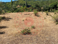 Çankırı Bayramören Dereköy Köyü Milli Emlak'tan Satılık 700,00 m2 Tarla