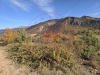 Artvin Ardanuç Sakarya Köyü Milli Emlak'tan Satılık 987,56 m2 Tarla