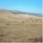 Afyonkarahisar İscehisar Doğanlar Köyü Milli Emlak'tan Satılık 26.600,00 m2 Tarla