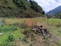 Giresun Merkez Gedikli Köyü Milli Emlak'tan Satılık 473,16 m2 Tarla