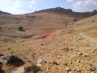 Mardin Artuklu Akbağ Köyü Milli Emlak'tan Satılık 2.325,34 m2 Tarla
