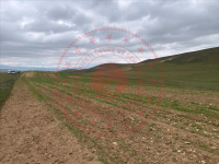 Ağrı Diyadin Aş. Dalören Köyü Milli Emlak'tan Satılık 37.956,92 m2 Tarla