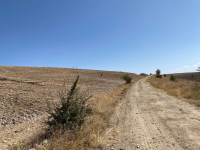 Kayseri Kocasinan Höbek Mahallesi Milli Emlak'tan Satılık 2.879,81 m2 Tarla