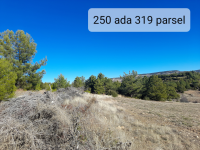 Denizli Pamukkale Güzelpınar Mahallesi Milli Emlak'tan Satılık 2.605,09 m2 Tarla