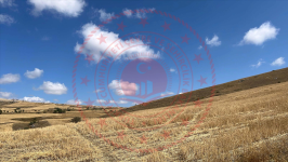 Çorum Alaca Büyükhırka Köyü Milli Emlak'tan Satılık 10.350,09 m2 Tarla