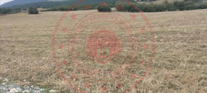 Denizli Honaz Ovacık Köyü Milli Emlak'tan Satılık 9.750,58 m2 Tarla