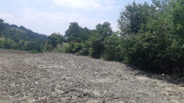 Balıkesir Kepsut Piyade Köyü Milli Emlak'tan Satılık 3.678,00 m2 Tarla