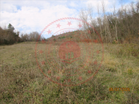 Samsun Bafra Dereler Köyü Milli Emlak'tan Satılık 4.442,52 m2 Tarla