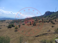 Sinop Durağan Erenköy Köyü Milli Emlak'tan Satılık 806,82 m2 Tarla