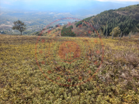 Yalova Merkez Sugören Köyü Milli Emlak'tan Satılık 5.776,24 m2 Tarla