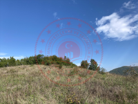 Zonguldak Ereğli Kızılca Köyü Milli Emlak'tan Satılık 2.172,26 m2 Tarla