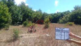 Kırklareli Vize Kışlacık Köyü Milli Emlak'tan Satılık 3.147,74 m2 Tarla