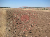 Kütahya Merkez Gümüş Köyü Milli Emlak'tan Satılık 1.624,42 m2 Tarla