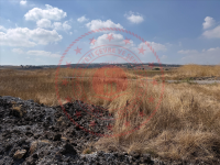 Balıkesir Manyas Akçaova Köyü Milli Emlak'tan Satılık 2.831,69 m2 Tarla