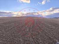 Kırşehir Merkez Tosunburnu Köyü Milli Emlak'tan Satılık 8.860,76 m2 Tarla