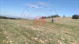 Denizli Honaz Ovacık Köyü Milli Emlak'tan Satılık 23.129,28 m2 Tarla