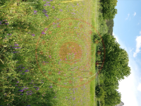 Gümüşhane Torul Yıldız Köyü Milli Emlak'tan Satılık 526,65 m2 Tarla