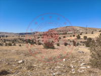 Malatya Akçadağ Kepez Milli Emlak'tan Satılık 11.866,13 m2 Tarla