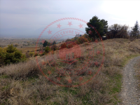 Tokat Turhal Necip Köyü Milli Emlak'tan Satılık 506,59 m2 Tarla